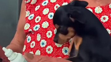 Reprodução / Redes Sociais