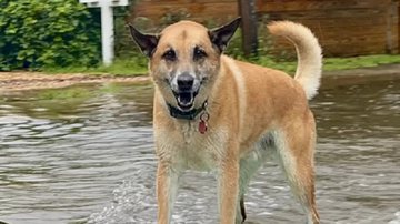 Reprodução / Redes Sociais