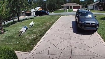 Reprodução / TikTok