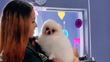 Reprodução / TikTok