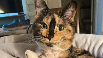 Reprodução / Redes Sociais