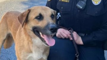 Reprodução / Redes Sociais