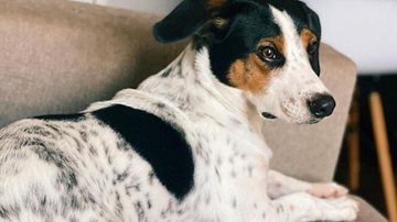 Reprodução / Redes Sociais