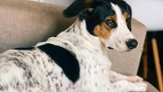 Reprodução / Redes Sociais