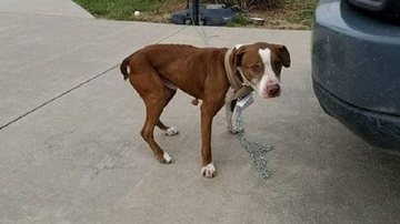 Reprodução / Redes Sociais