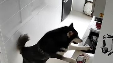 Reprodução / YouTube