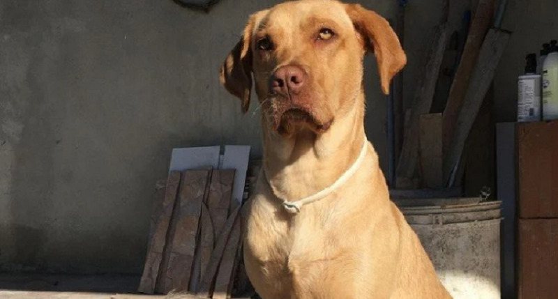 Reprodução / Redes Sociais