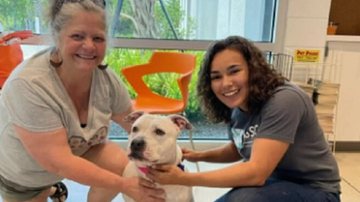 Reprodução / Sociedade Humanitária Do Condado De Sarasota