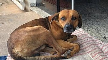 Reprodução / Redes Sociais