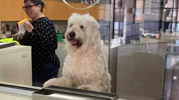 Divulgação / Polícia de Chippewa Falls