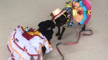 Reprodução / Redes Sociais