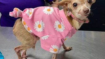 Reprodução / Redes Sociais