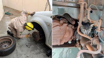 Reprodução / CBMGO