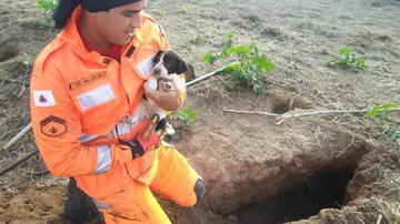 Corpo de Bombeiros / Divulgação