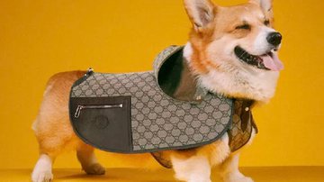 Max Siedentopf/ Gucci/ Divulgação