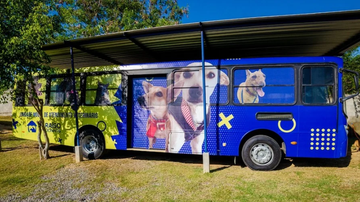 Reprodução / Paraíso dos Focinhos