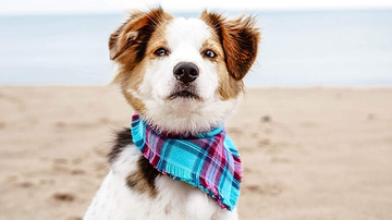 Reprodução / Facebook