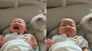 Reprodução / TikTok
