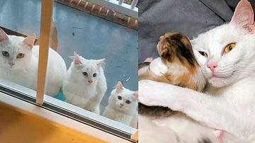 Reprodução / Instagram