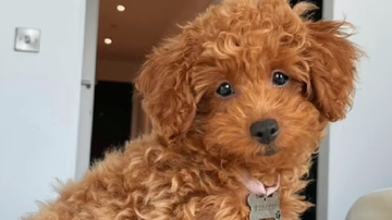 Reprodução / Redes Sociais