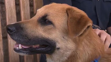 Reprodução / YouTube