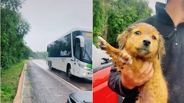 Reprodução / Tik Tok