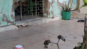 Emerson Rocha/G1 Pernambuco