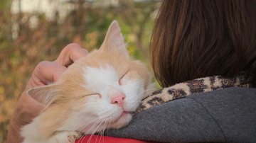 Foto Ilustrativa/Pixabay