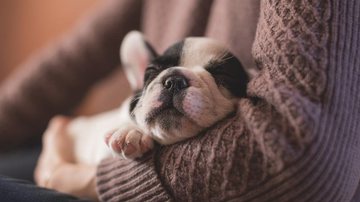 Foto Ilustrativa/Pixabay