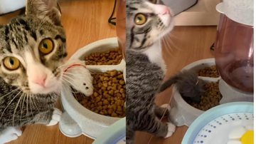 Reprodução / Instagram