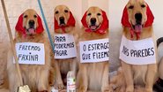 Reprodução / Instagram