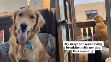 Reprodução / TikTok