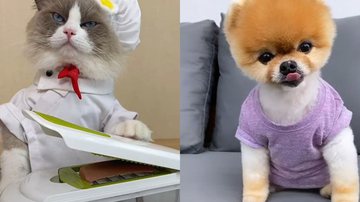 Reprodução / TikTok