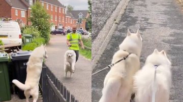 Reprodução / TikTok