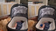 Reprodução / Instagram