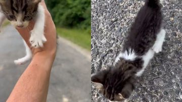 Reprodução / Instagram