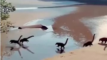 Foto: Instagram/Reprodução