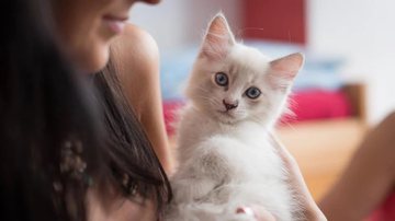 Foto Ilustrativa/Pixabay