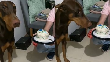 Reprodução/TikTok @valentinac362