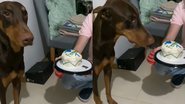 Reprodução/TikTok @valentinac362