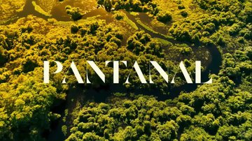 Reprodução/ TV Globo