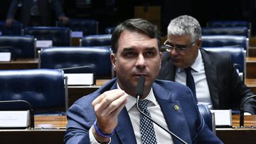 Geraldo Magela/Agência Senado