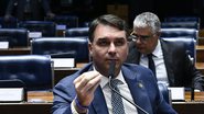 Geraldo Magela/Agência Senado