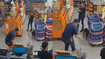 Reprodução/TikTok @gargamelpetshop