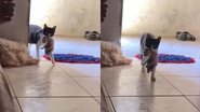 Reprodução/TikTok