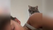 Reprodução/TikTok @okcallie