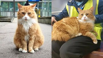 Reprodução/ Redes Sociais