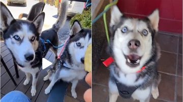 Reprodução / TikTok