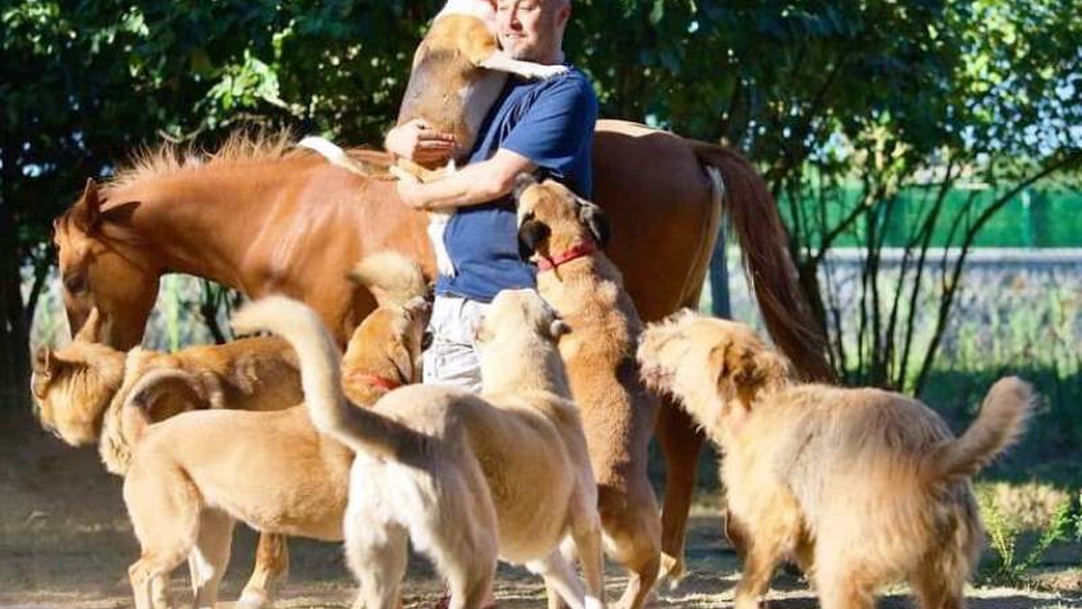 PETER TOYS CUIDANDO DOS ANIMAIS DOENTES NA FAZENDA! 