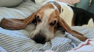 Arquivo pessoal/Alice Nelson